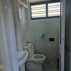 Blk 545 Bedok North Green (Bedok), HDB 3 Rooms #603746771